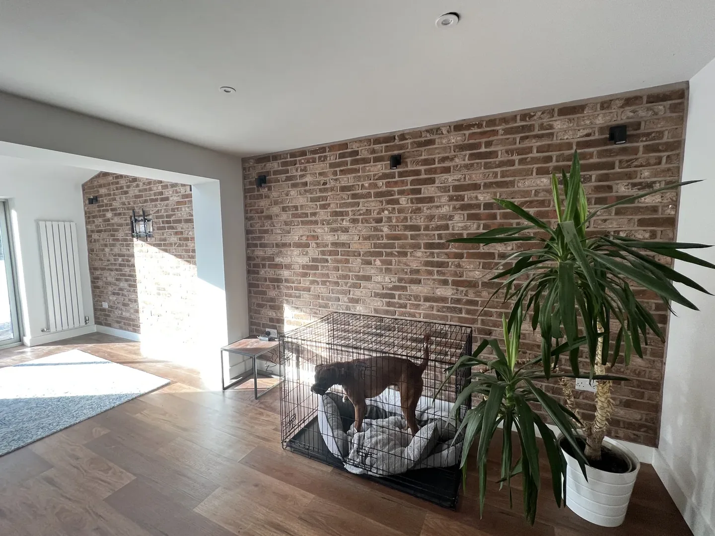 Interior exposed brick feature wall after repointing.